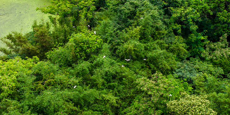 Gestión Medioambiental